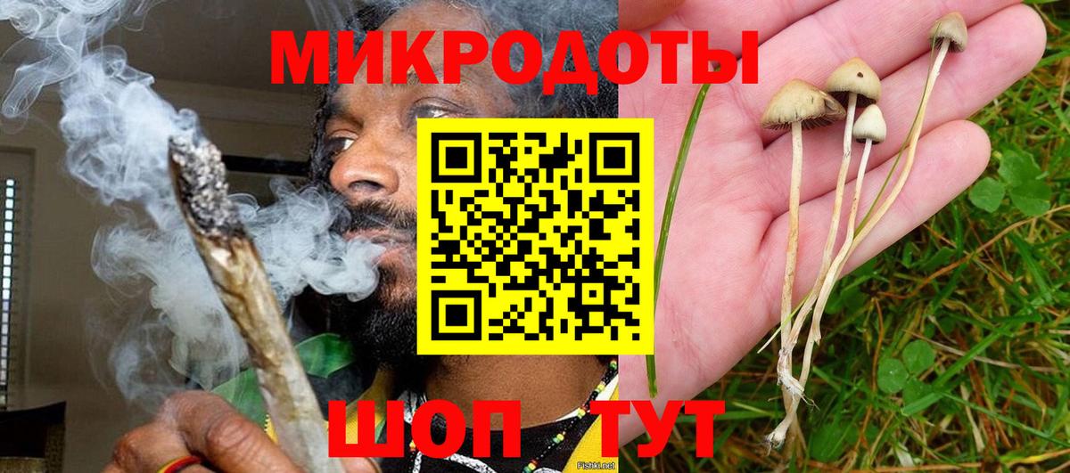 Галлюциногенные грибы GOLDEN TEACHER Зеленодольск