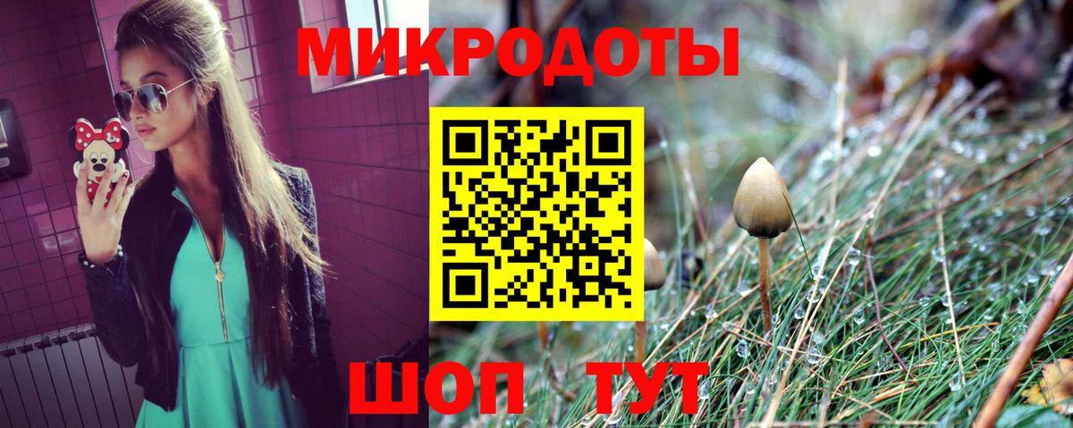 Псилоцибиновые грибы ЛСД  Галлюциногенные грибы Psilocybe  наркота  Вход с VPN  Зеленодольск 